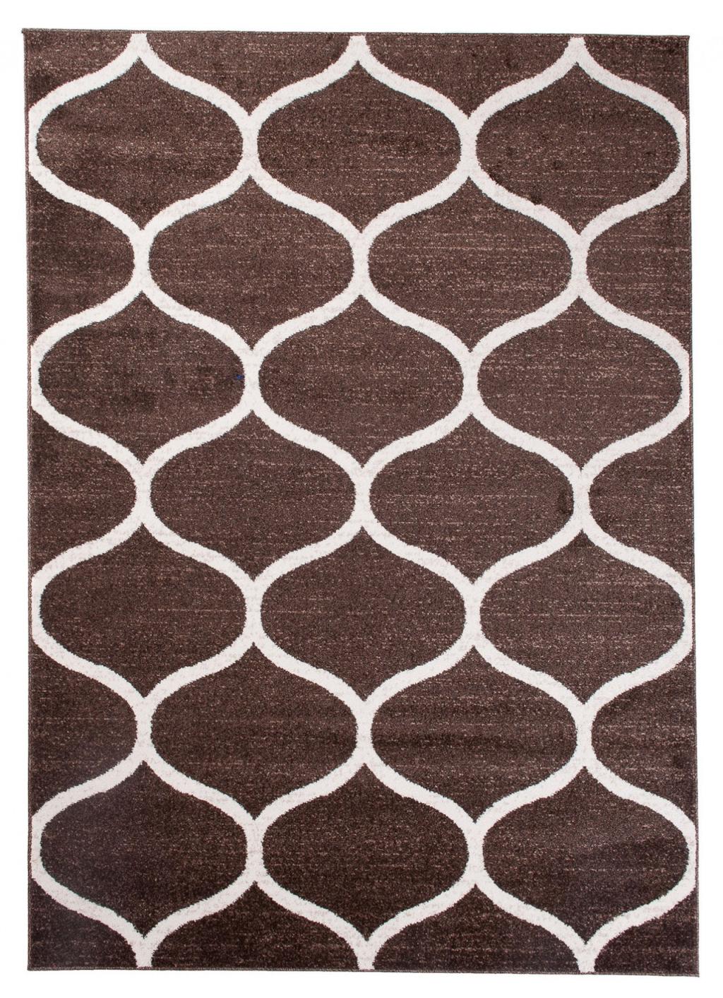Teppich Modern Braun Geometrisch Marokkanisches Kleeblatt E665A SARI
