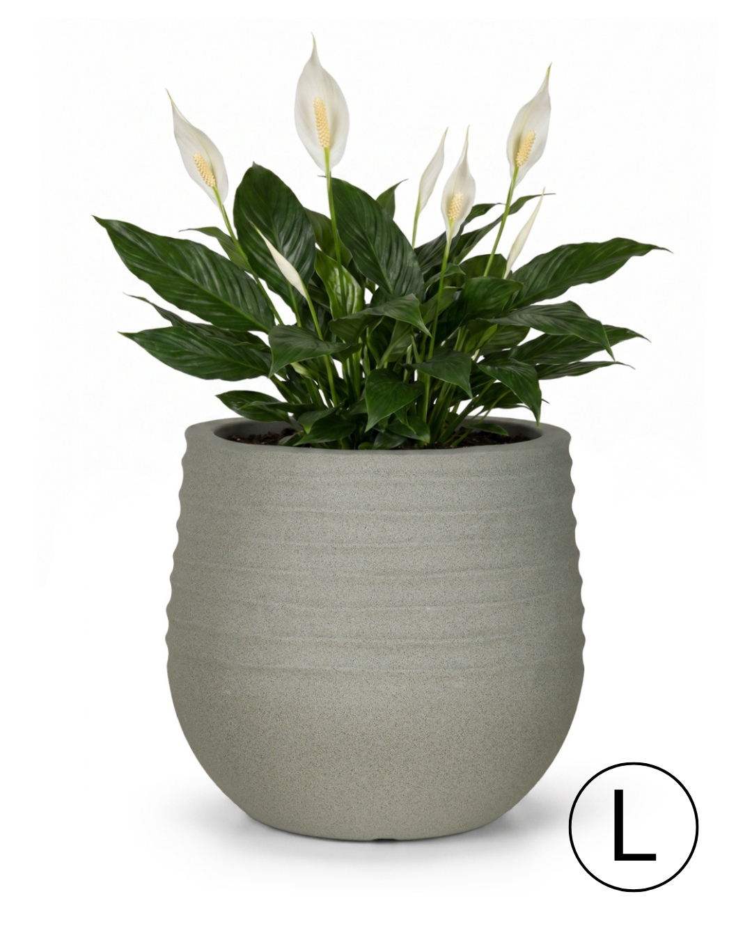 Runder Garten- / Terrassen-Blumentopf 54 cm x 54 cm x 49,5 cm - Terra L - Kunststoff-Blumentopf, grau, matt, geriffelt