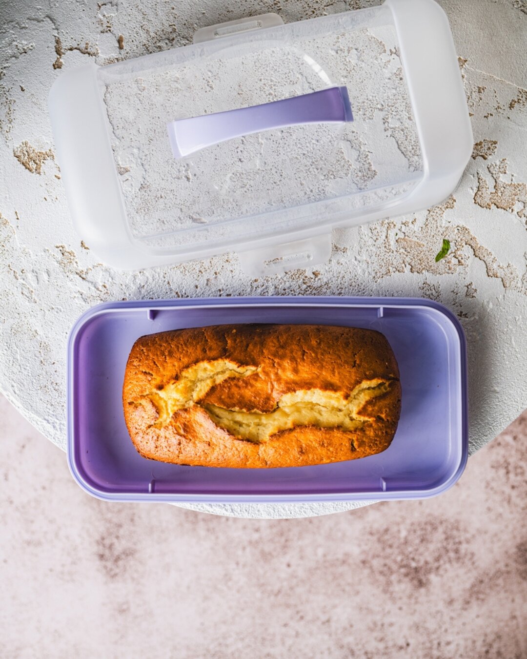 Rechteckige Kuchenbox mit Deckel 34 x 19 x 3,5 cm, Aufbewahrungsbox – Forno Perme – violett, transparent, Kunststoff